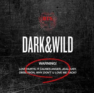 BTS Album - DARK & WILD